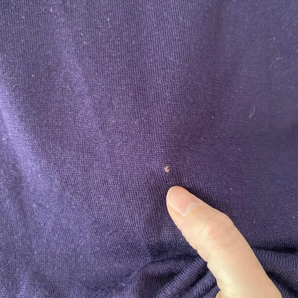 J. Jill Plum Purple Merino Wool Crewneck Sweater Minimalist Women's size Small